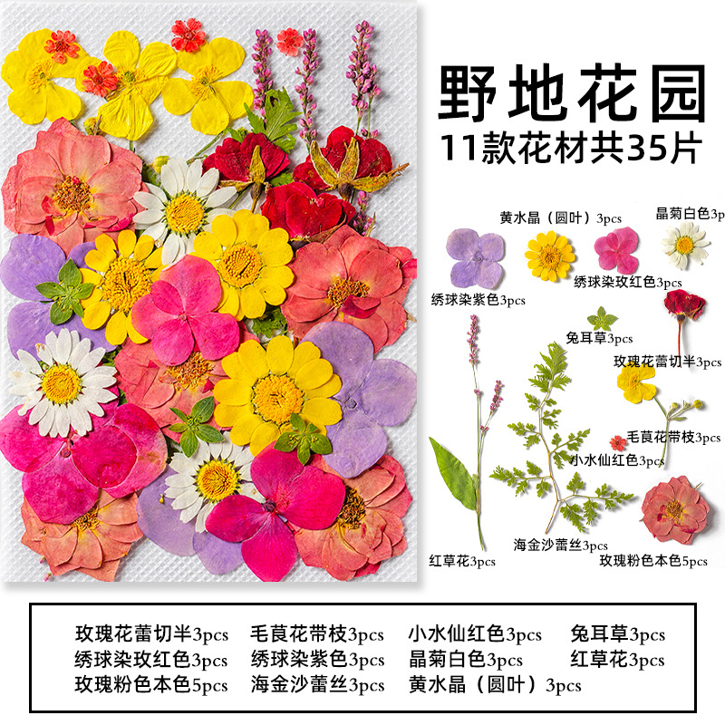 Candle Making Scents - 35Pcs10 Set of Dried Flowers and