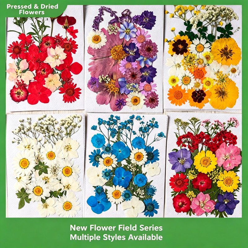 35Pcs10 Set of Dried Flowers a – обзор и цена Candle Making Scents