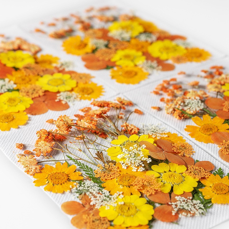 35Pcs10 Set of Dried Flowers a – обзор и цена Candle Making Scents